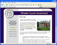 Click to view a sample of a county's website.